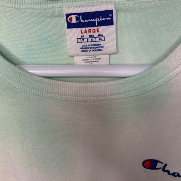 Champion Men’s Cloud Dye Heritage Short Sleeve Tee, Size L - Picture 3 of 5